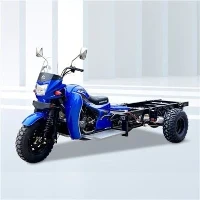 Carga Motore Triciclo
