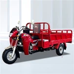 175cc Cargo Trimoto Motorisé
