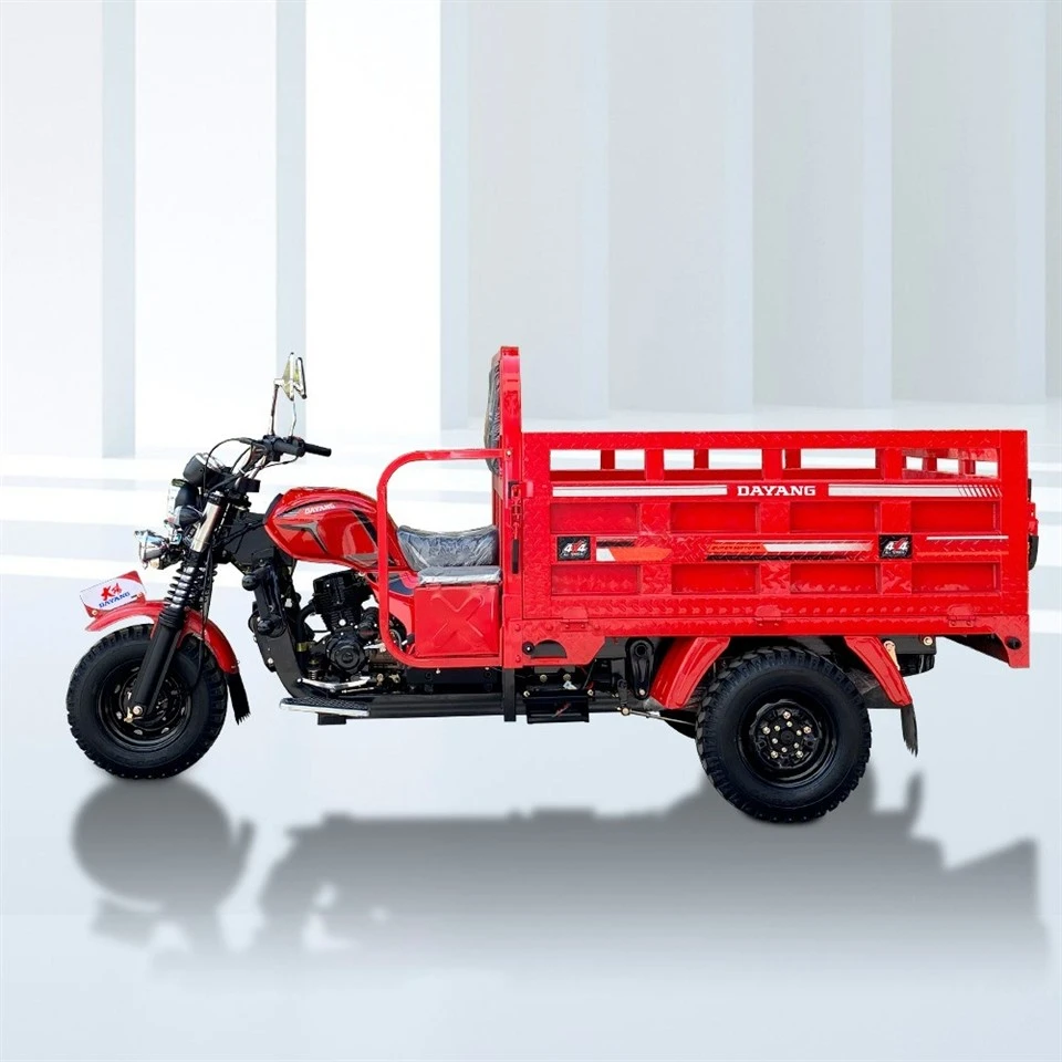 175cc Cargo Gasoline Tricycle Three Wheels Motorcycle