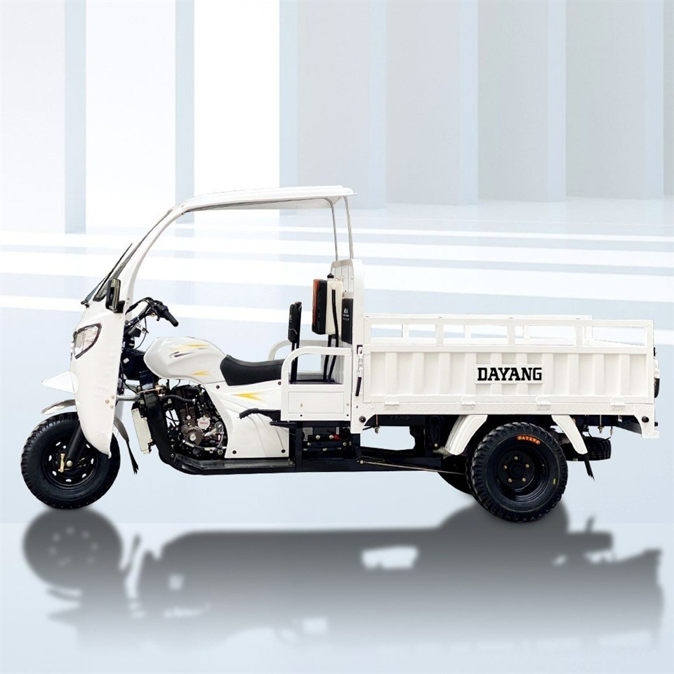Three Wheel Cargo Loader Passenger Gaslone Tricycle